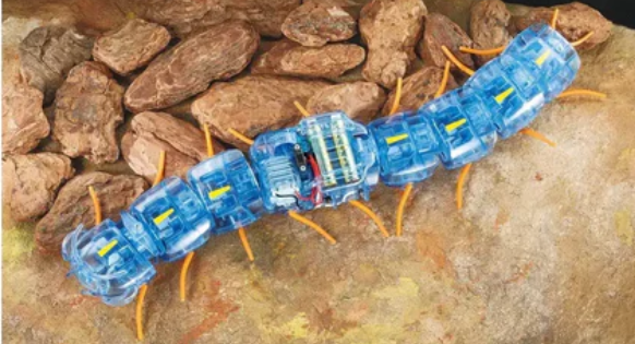 Tamiya Centipede Robot