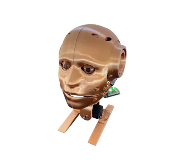 Youbionic robot head